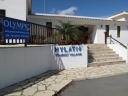 hylatio-img_0852.jpg