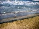 aerial-kite-photos-616-kadies-mile.jpg
