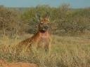 oz-down-under-2006-1332.jpg