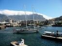 the-harbour.jpg