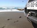 kitesurfing-chile.jpg